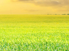 九游网页客户端基地展示1